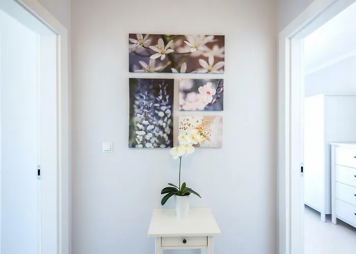 Navigator-port View Kolobřeh