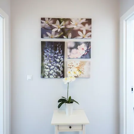 Navigator-port View Kolberg